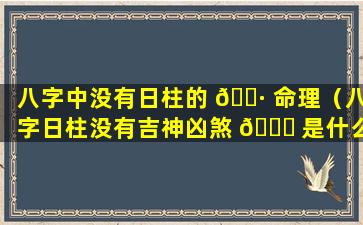 八字中没有日柱的 🕷 命理（八字日柱没有吉神凶煞 🐈 是什么意思）